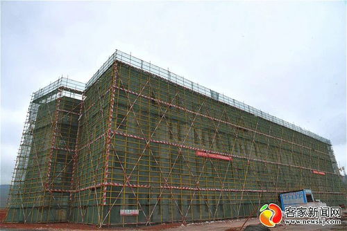 二十億元以上重大項目現場考察與技術轉讓進展分析